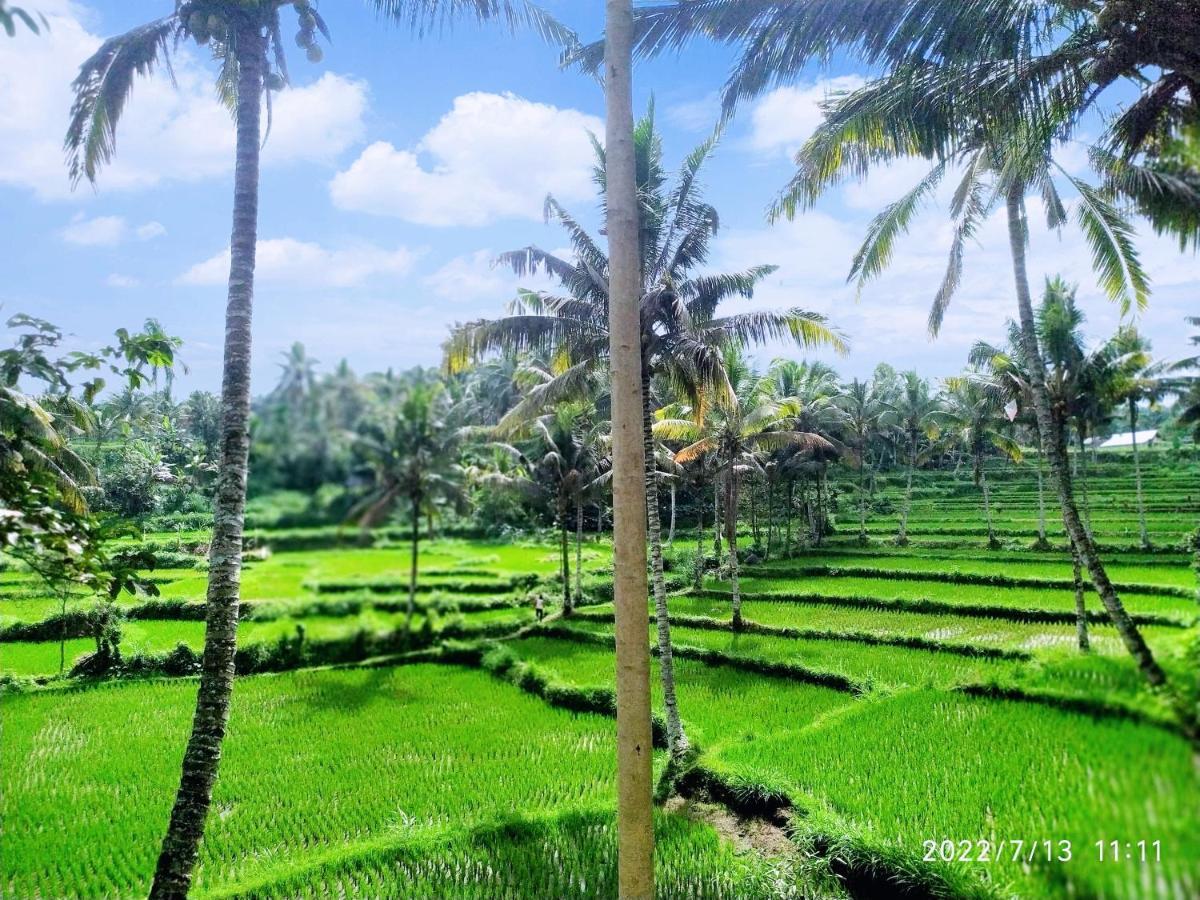 Green Haven Homestay Tetebatu Extérieur photo
