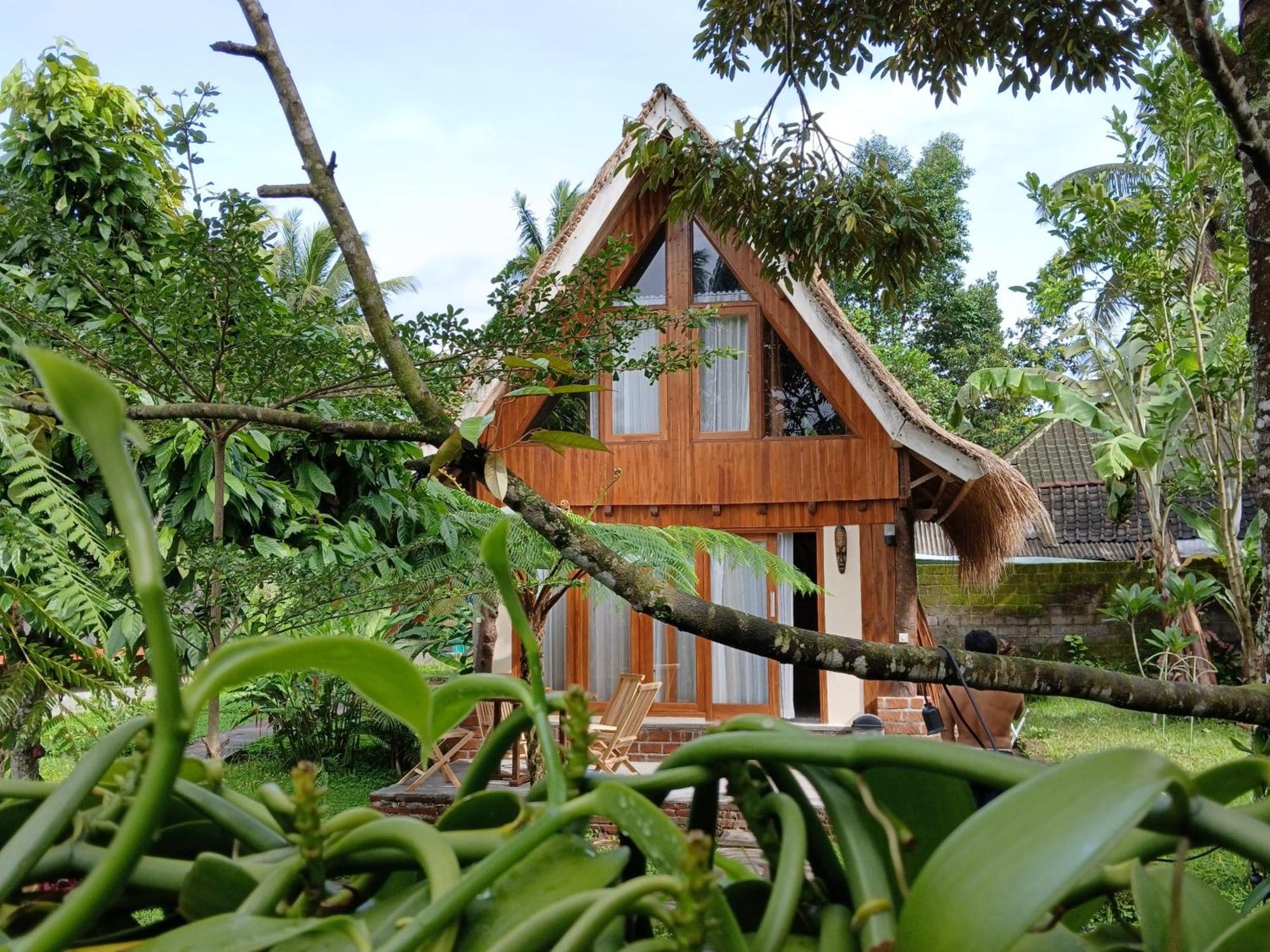 Green Haven Homestay Tetebatu Extérieur photo